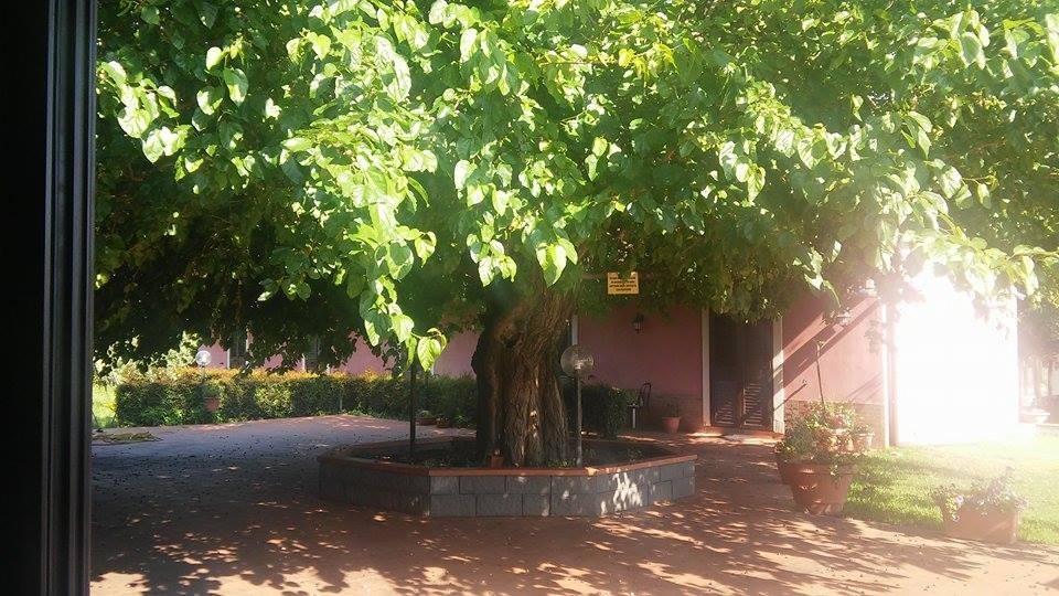 Agriturismo Il Pozzo Antico Mascali Luaran gambar